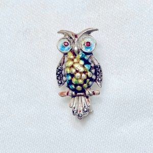 Sterling and Enamel Rare Mini Owl Pin
